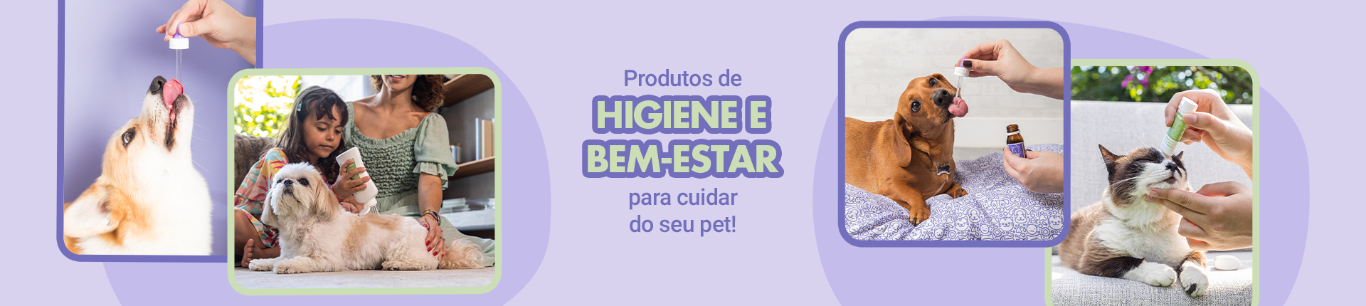 Imagem de cachorro e gato